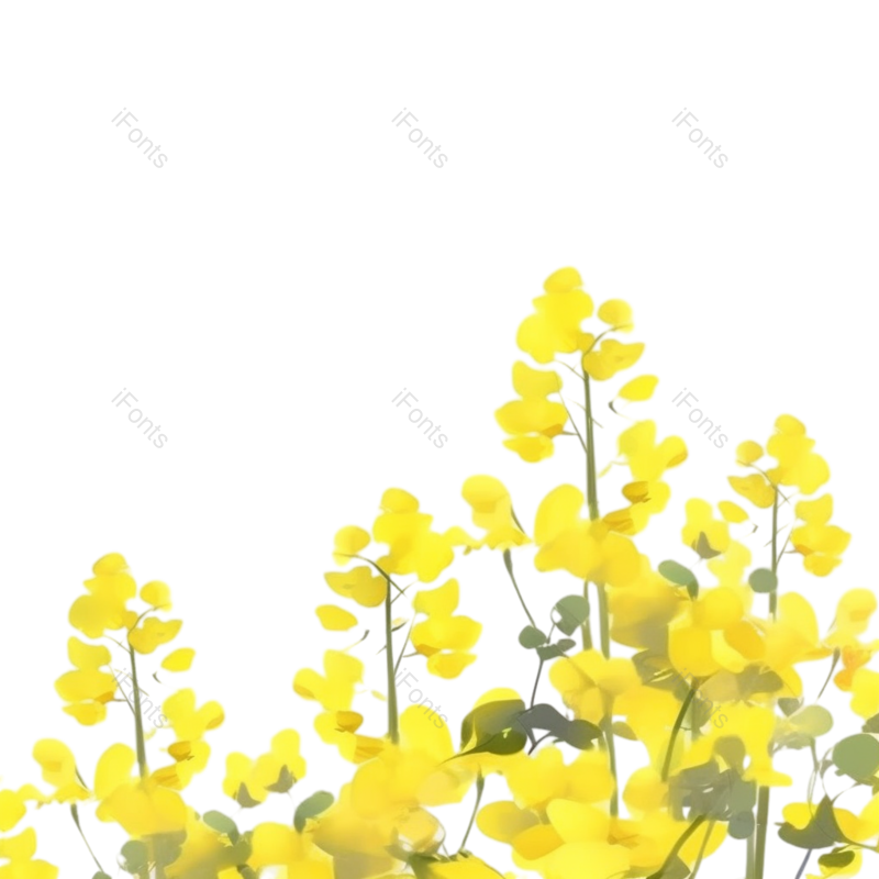 元素图片,清新元素,黄色的花PNG,户外免抠素材